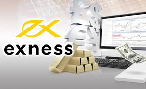 Explore the Benefits of the Exness Professional Forex Account Explore the Benefits of the Exness Professional Forex Account
